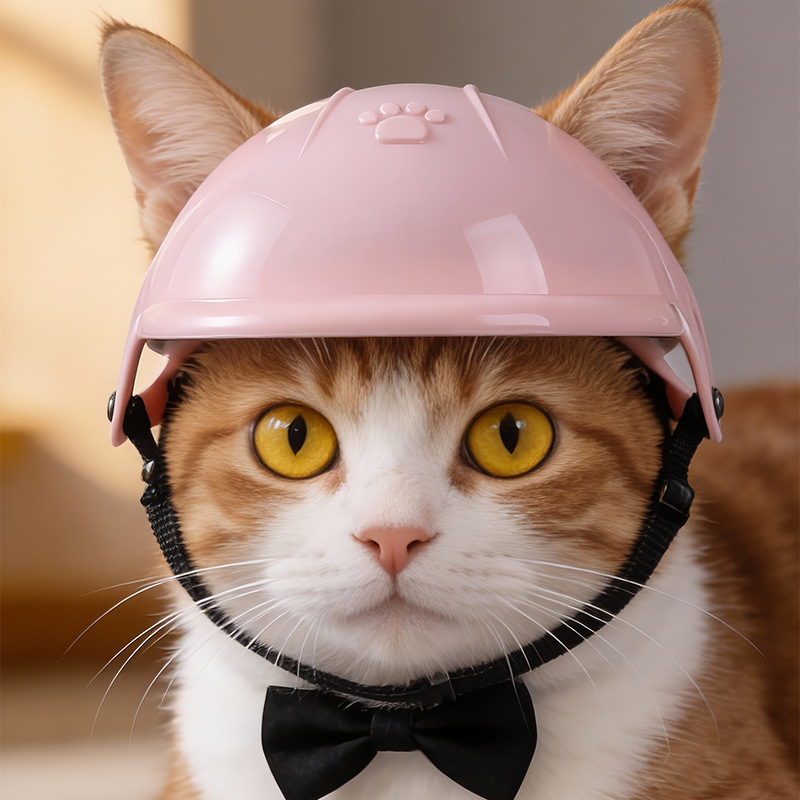 Pet Helmet 3D Paw Print Dogs C - Motorcycle Gear Dogs recension och pris