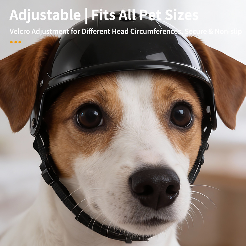 Mini Motorcycle Pet Helmet Dec - Motorcycle Gear Dogs recension och pris