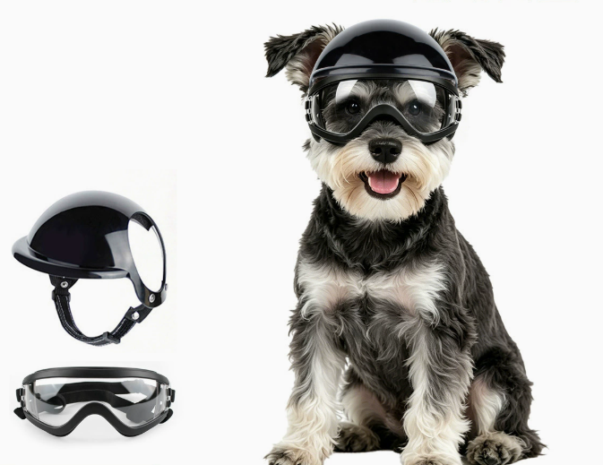 Dog Sunglasses and Pet Helmet  - Motorcycle Gear Dogs recension och pris
